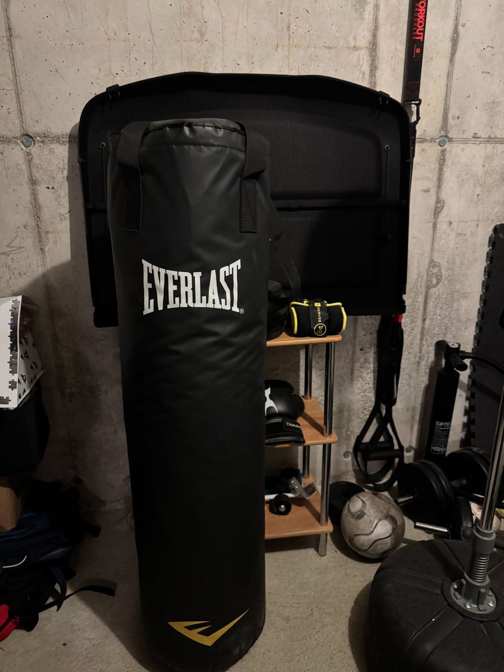 Everlast Boxsäcke: Sac de frappe Everlast – Gebraucht aus Orbe von bra_hvw9
