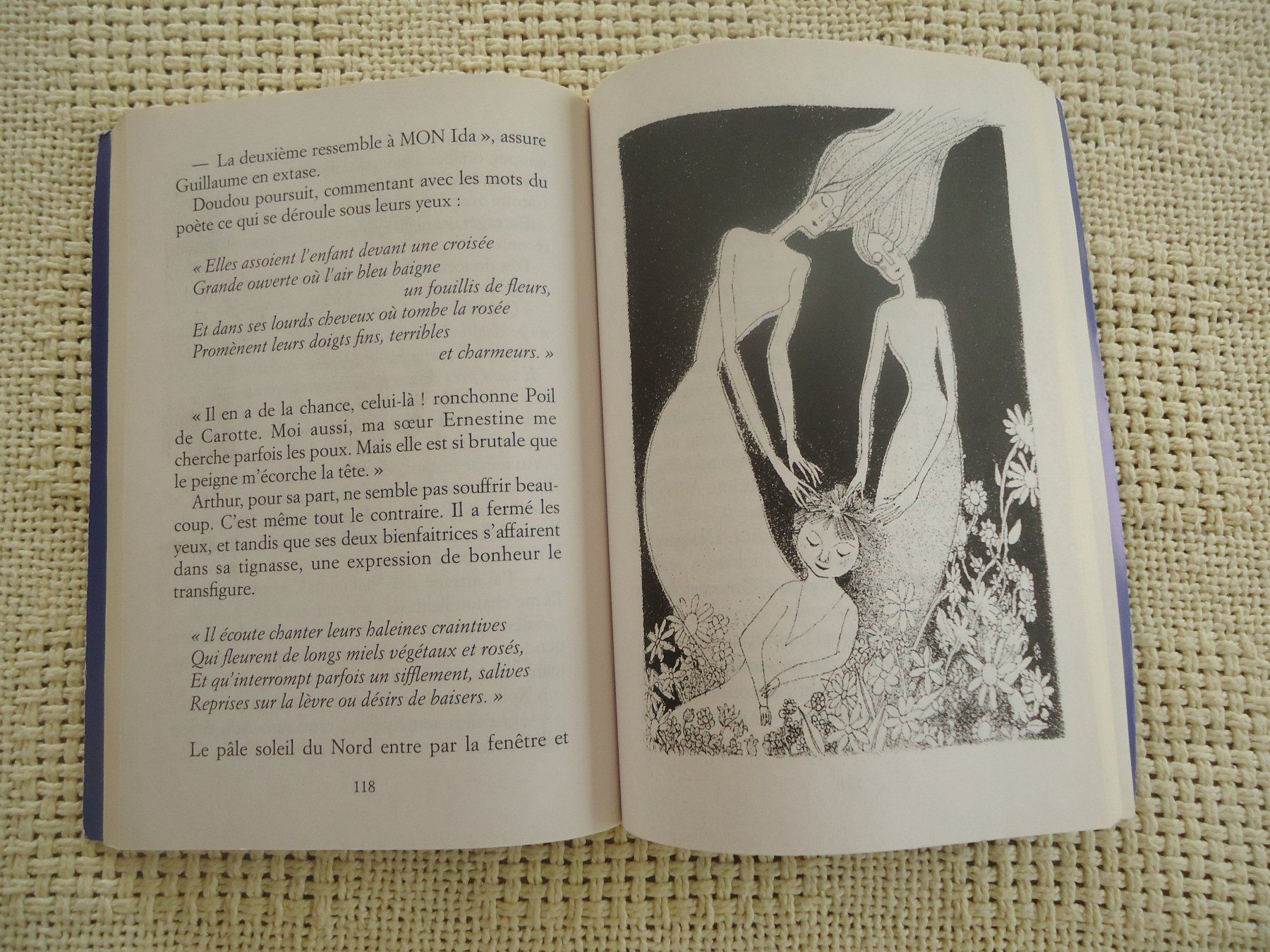 Libri: La bibliothécaire - Gudule – Usato da Vessy venduto da bm.par 2