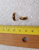 Creolen / Ohrstecker, NEU, herrlicher Goldglanz