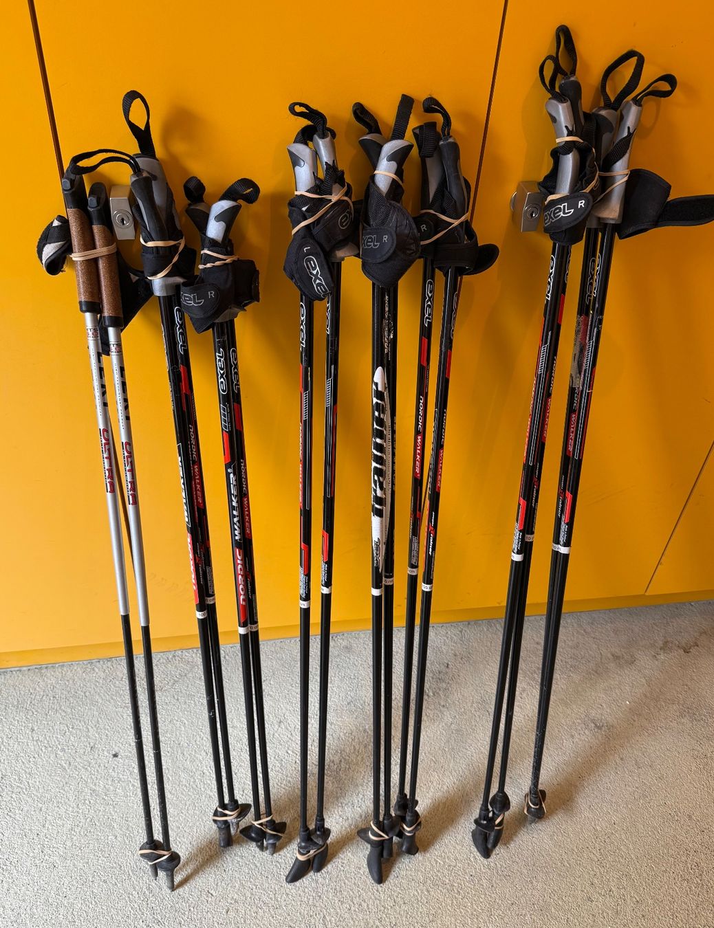 Exel Sonstige Zubehör: Nordic Walking Stöcke, Exel u Leki – Gebraucht aus Pragg-Jenaz von Gigolo60