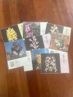 8 Maximumkarten Alpenblumen Deutschland   (R726)