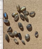 Labradorit Cabochons  ECHT!!!   top Farben/Glanz