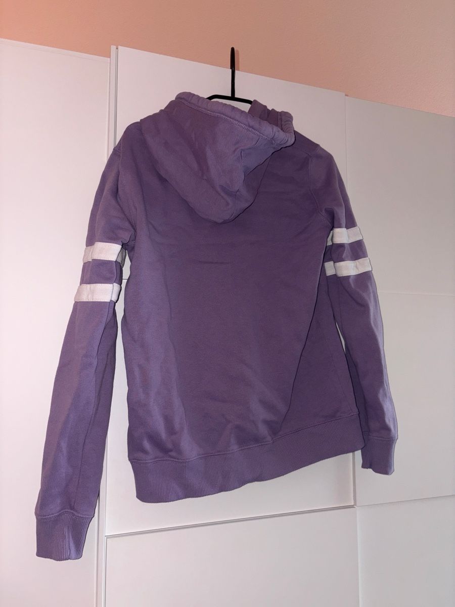 Hollister Maglioni & Felpe: Hollister Pullover in Flieder Grösse M – Usato da Aarwangen venduto da emelie.1101 1