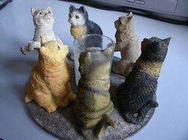 zu verkaufen Katzenwindlicht mit 6 Katzen