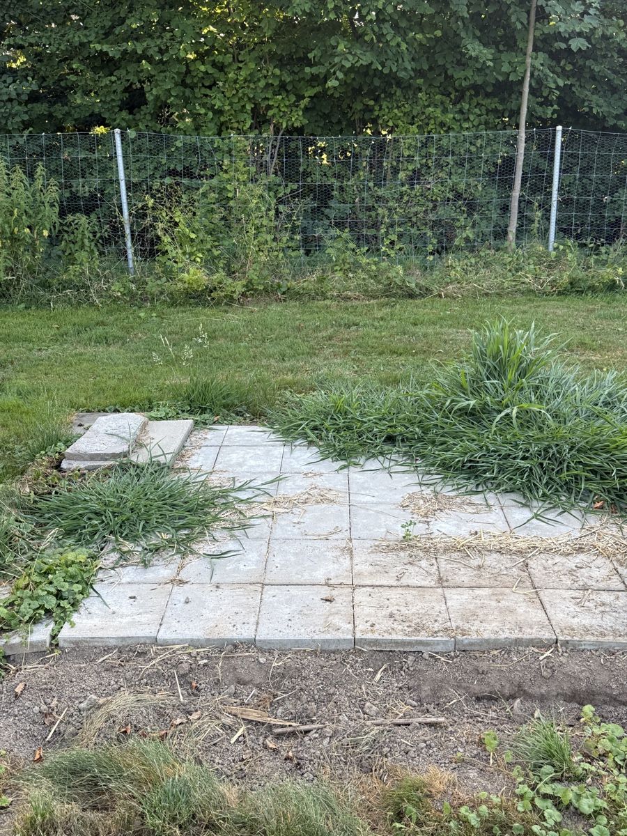 Bodenbeläge: Steinplatten für Gartenboden – Gebraucht aus Pfäffikon SZ von Tonimarroni99 1