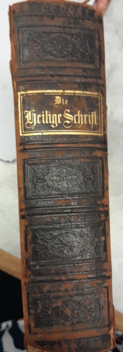 Libri: 200 jährige Bibel – Usato da Pfäffikon ZH venduto da enderby01 3