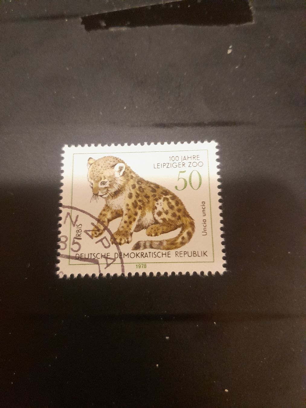 Tutti i francobolli: Timbre rare RDA 1978 - Léopard des neiges - Leipzig Zoo 52 – Usato da Marly venduto da globetrotter1723
