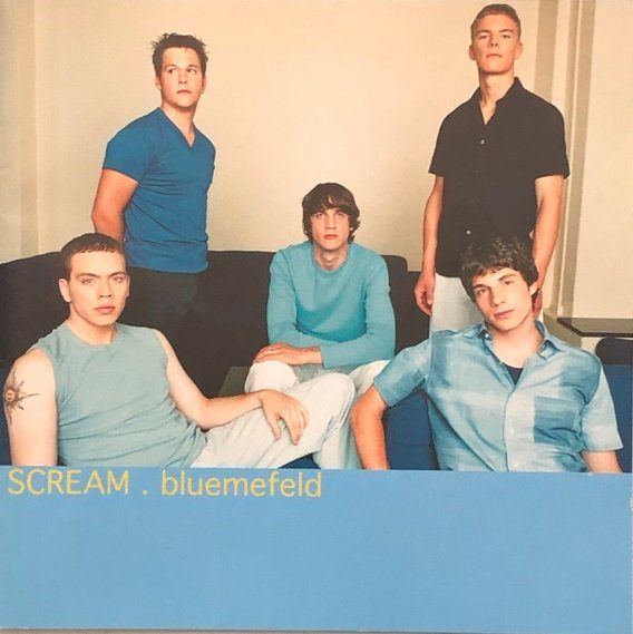 CDs: Scream - Bluemefeld – D'occasion à Grüningen par azulverde