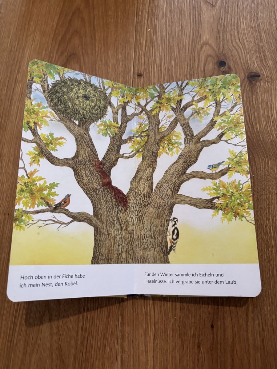Libri: "Ich bin das kleine Eichhörnchen" - Ravensburger Buch – Usato da Jegenstorf venduto da Annina0506 2