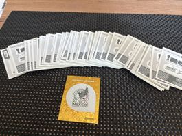 Panini WM stickers