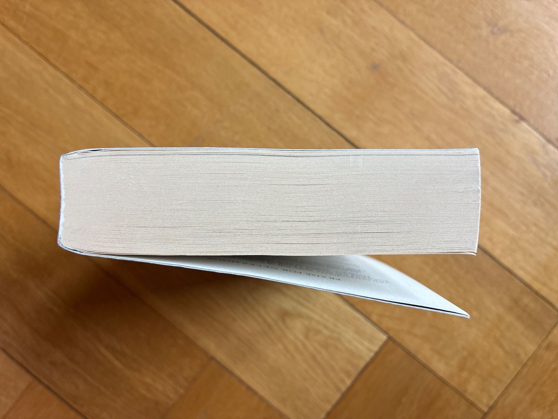 Bücher: Nevermoor Jessica Townsend – Gebraucht aus Zollikon von mythenschloss 2