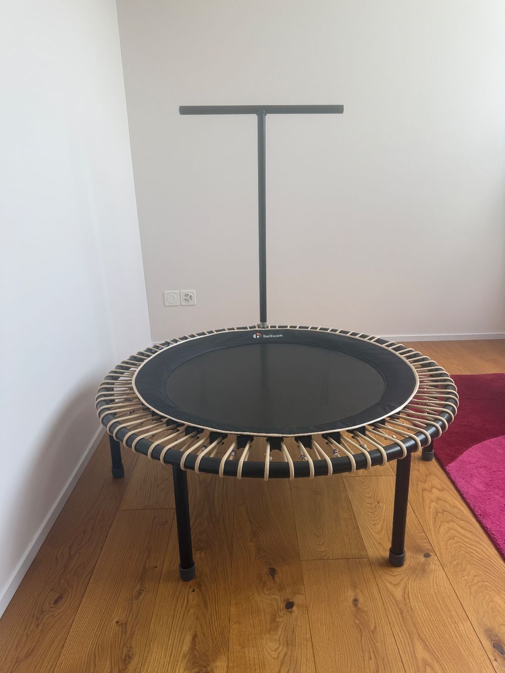 Bellicon Trampolini: Bellicon Plus 112 CM Trampolin - fast neu – Nuovo (secondo la descrizione) da Buchs SG venduto da Laurenzia2 1