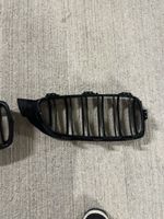 BMW Nieren / Kühlergrill