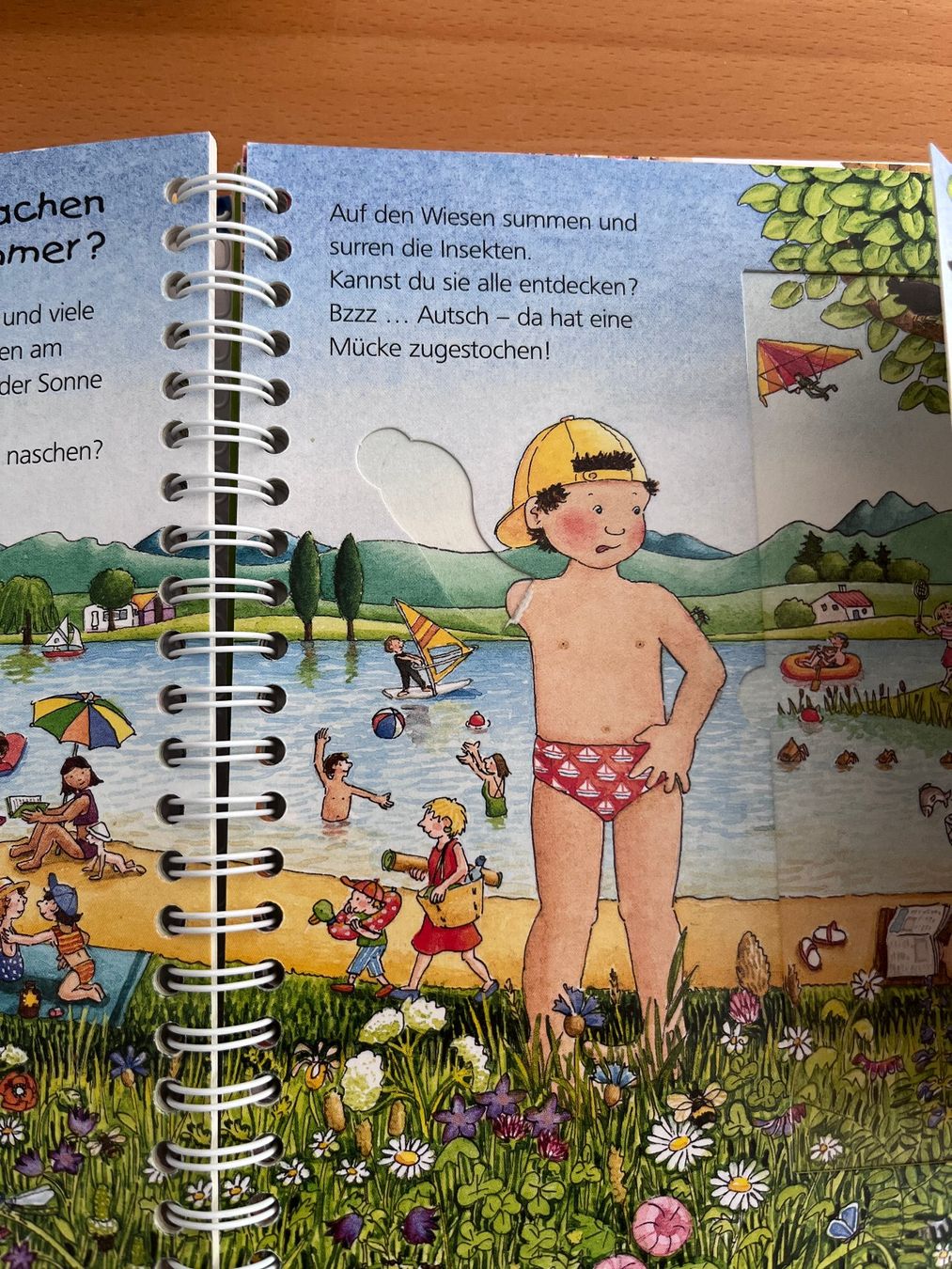 Libri: 3 Bücher Ravensburger Wieso Weshalb Warum – Usato da Giubiasco venduto da gorgon621 5