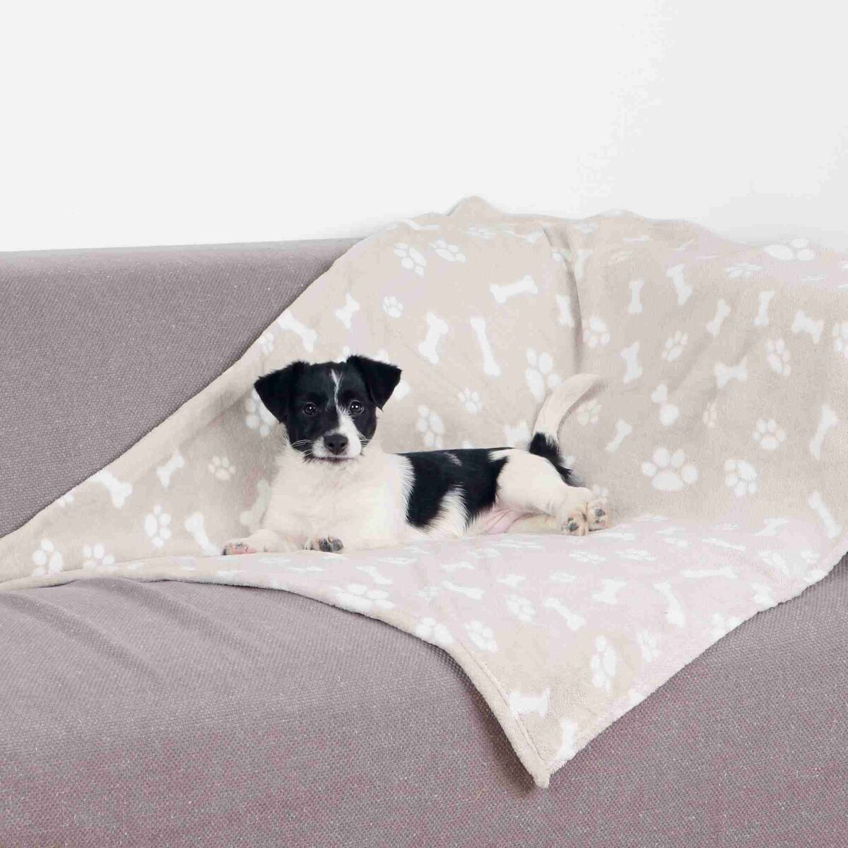 Coperte: Kuschelige Hunde oder Katzen-Decke mit Pfotenmuster🐾NEU – Nuovo e nell'imballaggio originale da Sitterdorf venduto da imsis 1