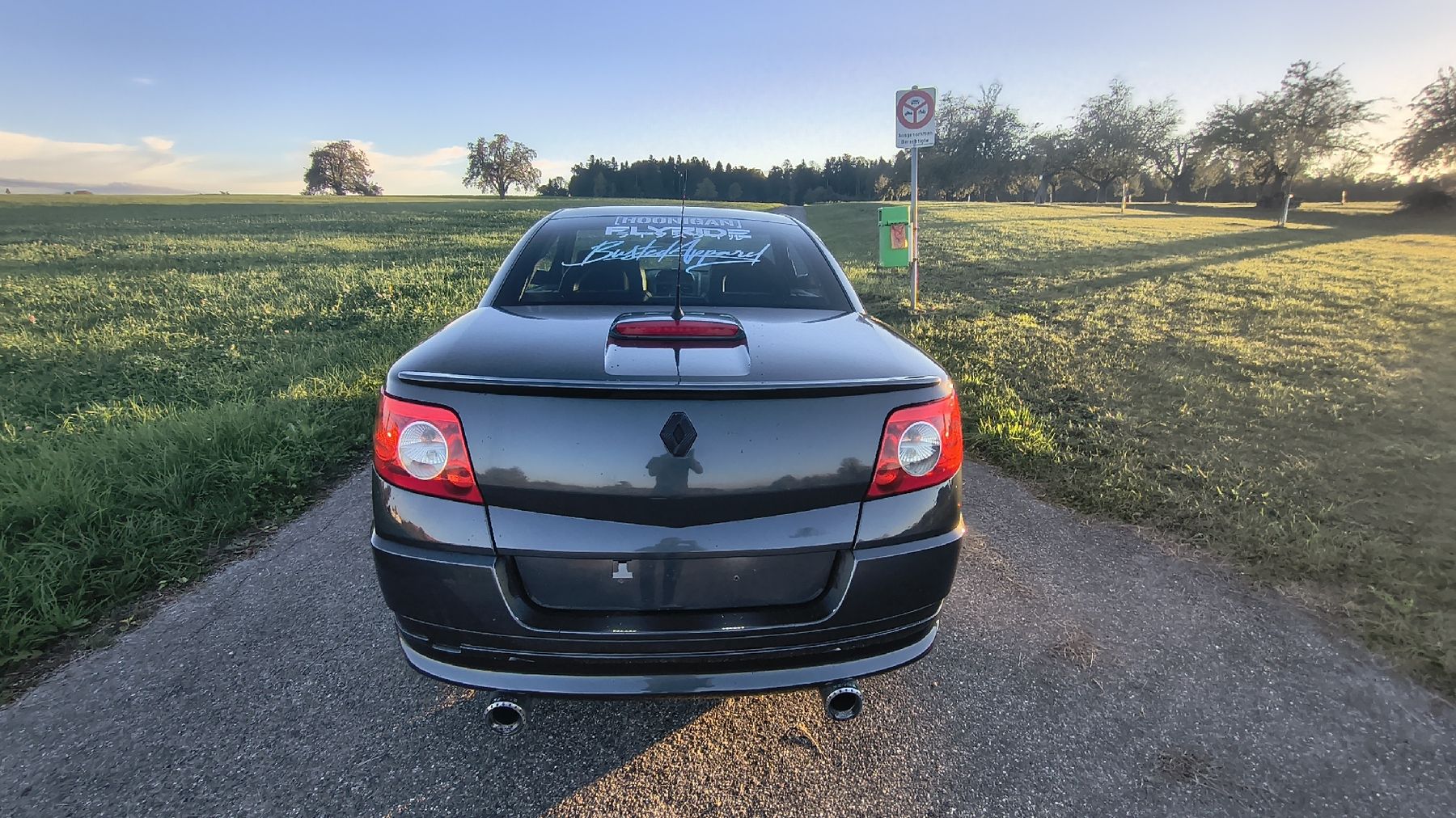 Renault Automobili: Renault Megane 2.0 Turbo – Usato da Kreuzlingen venduto da ele_wgq6 5