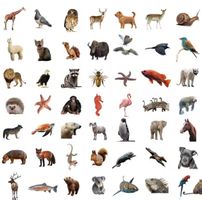 50* Tiere auf Folie zum Basteln, Aufkleben etc.