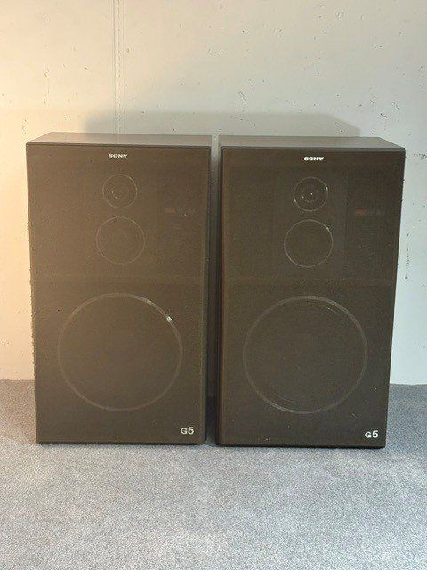 Sony Casse acustiche: Sony SS-G5 Lautsprecher – Usato da Sutz venduto da Mega2501 2