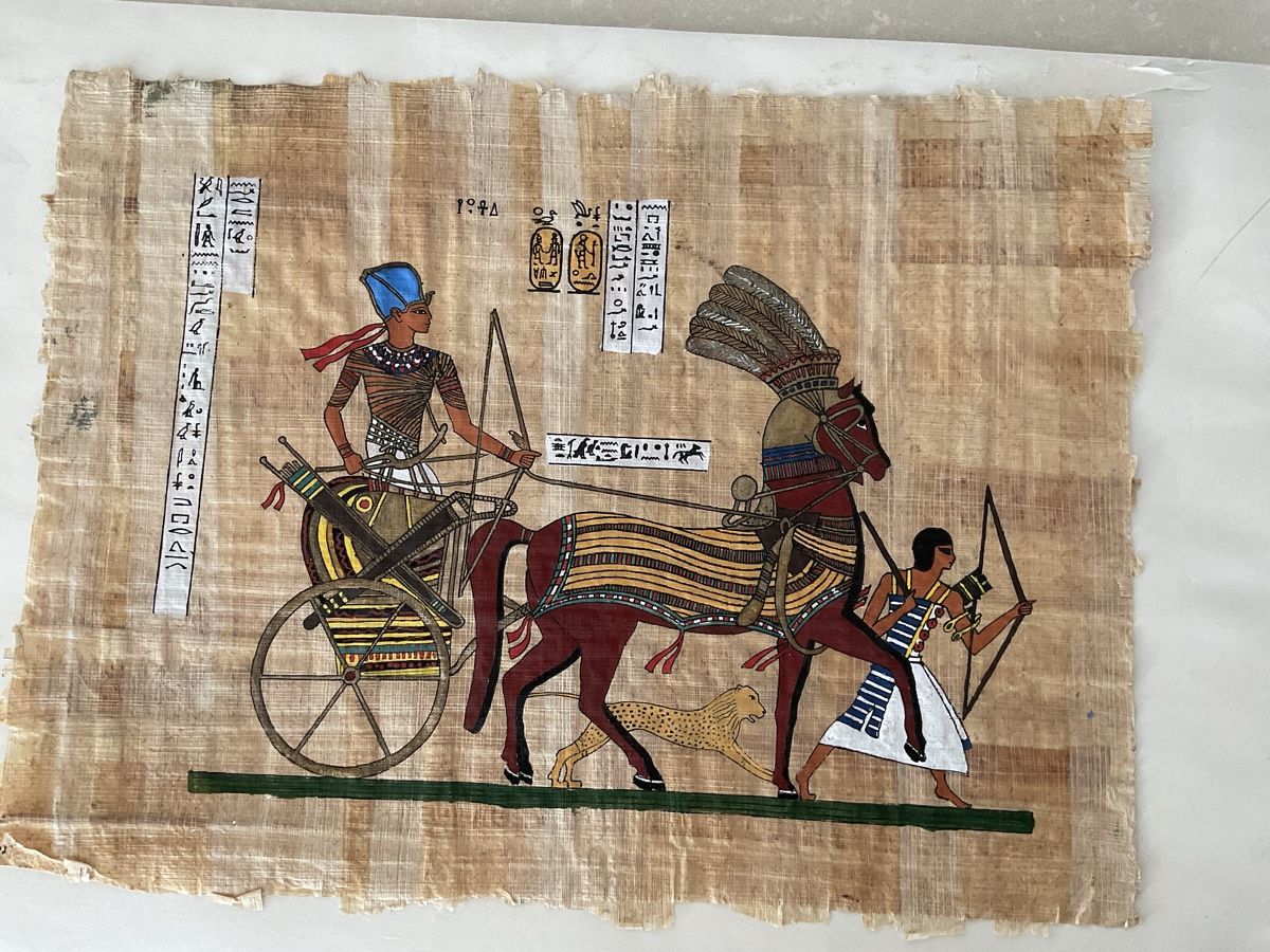 Foto & Immagini: Papyrus Ägypten – Usato da Bülach venduto da Berimbau0 1