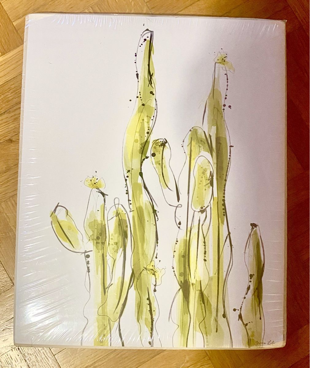 Dipinti: Cactus Bild/Print – Nuovo e nell'imballaggio originale da Lugano venduto da mariavenezia
