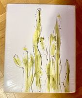 Cactus Bild/Print