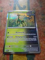 POKEMON  Iron Leaves   H  TWM EN   019/167   HP120   2024