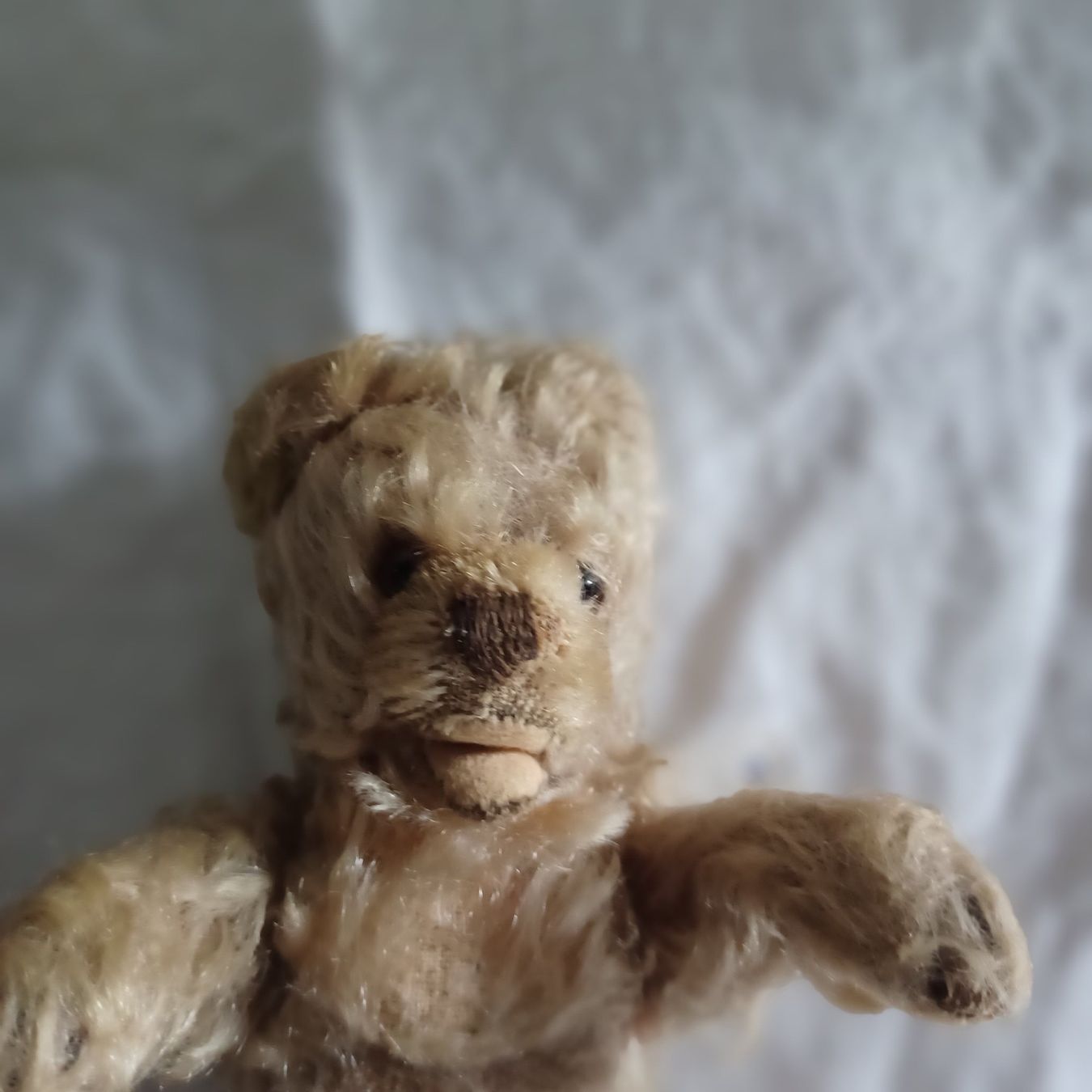 Steiff Giocattoli: Steiff winziges abgeliebtes Bärchen 18 cm gross – Usato da Abtwil SG venduto da luupsy 2