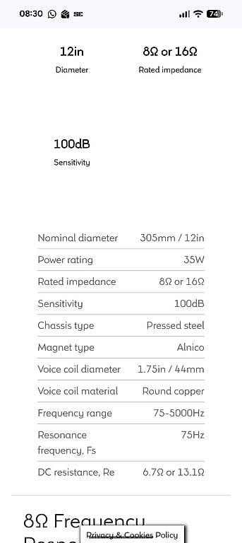 Amplificatori: Celestion Ruby - 35W - 12" - 16Ohm – Usato da Renens VD venduto da arochat 3