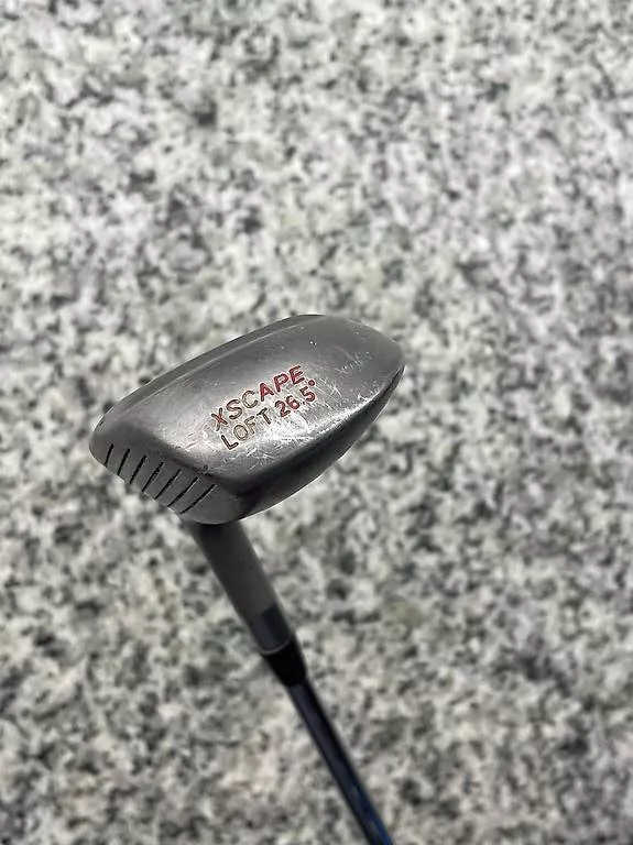 Mizuno Mazze & Set: Holz 9 Mizuno – Usato da Bern venduto da mia_8nfn 1