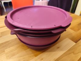 Tupper Micro Gourmet