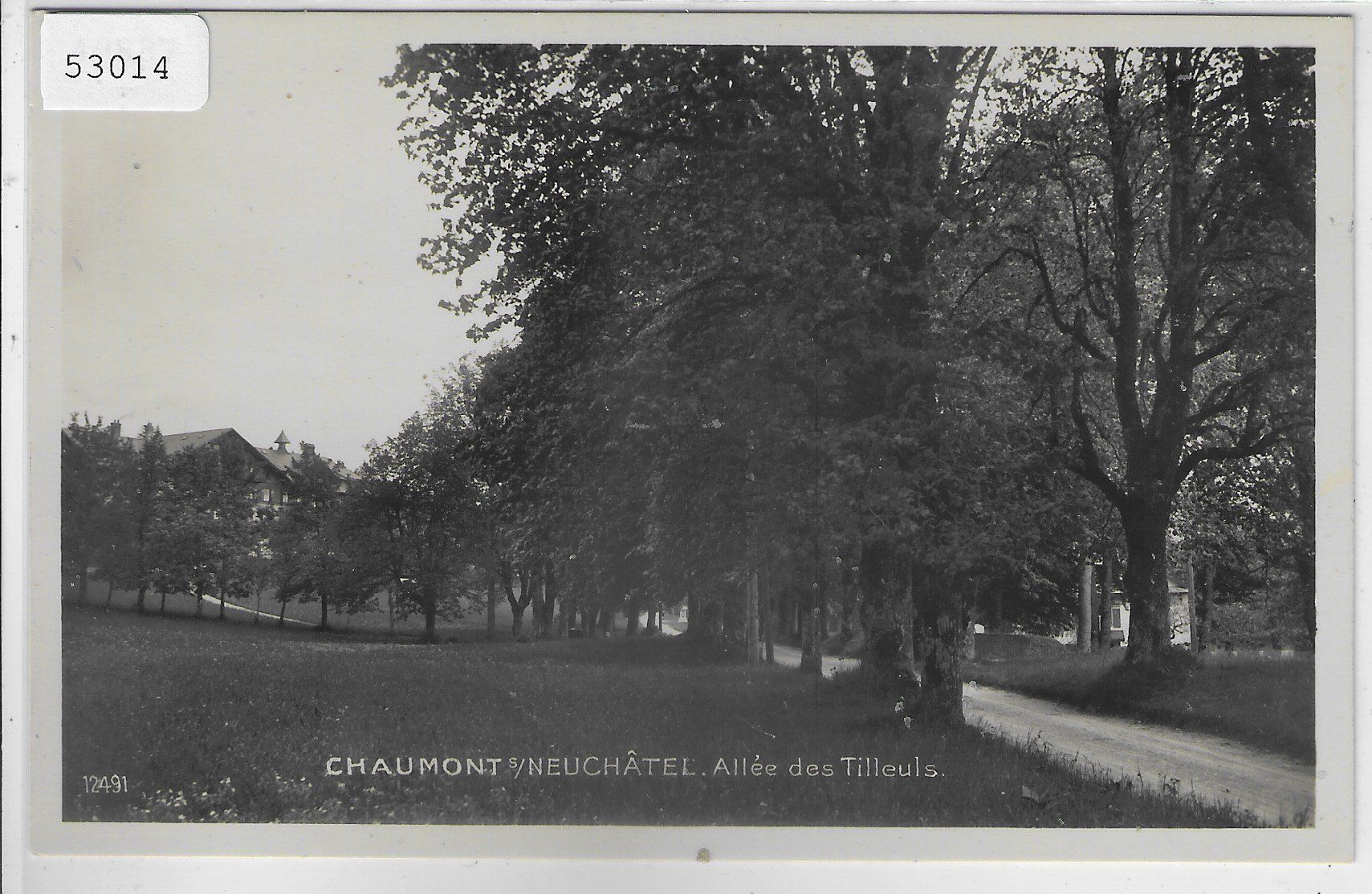 Cartoline postali: Chaumont s/Neuchatel - allee des Tilleuls – Usato da Ettingen venduto da Kartenplanet