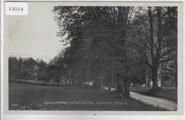 Chaumont s/Neuchatel - allee des Tilleuls