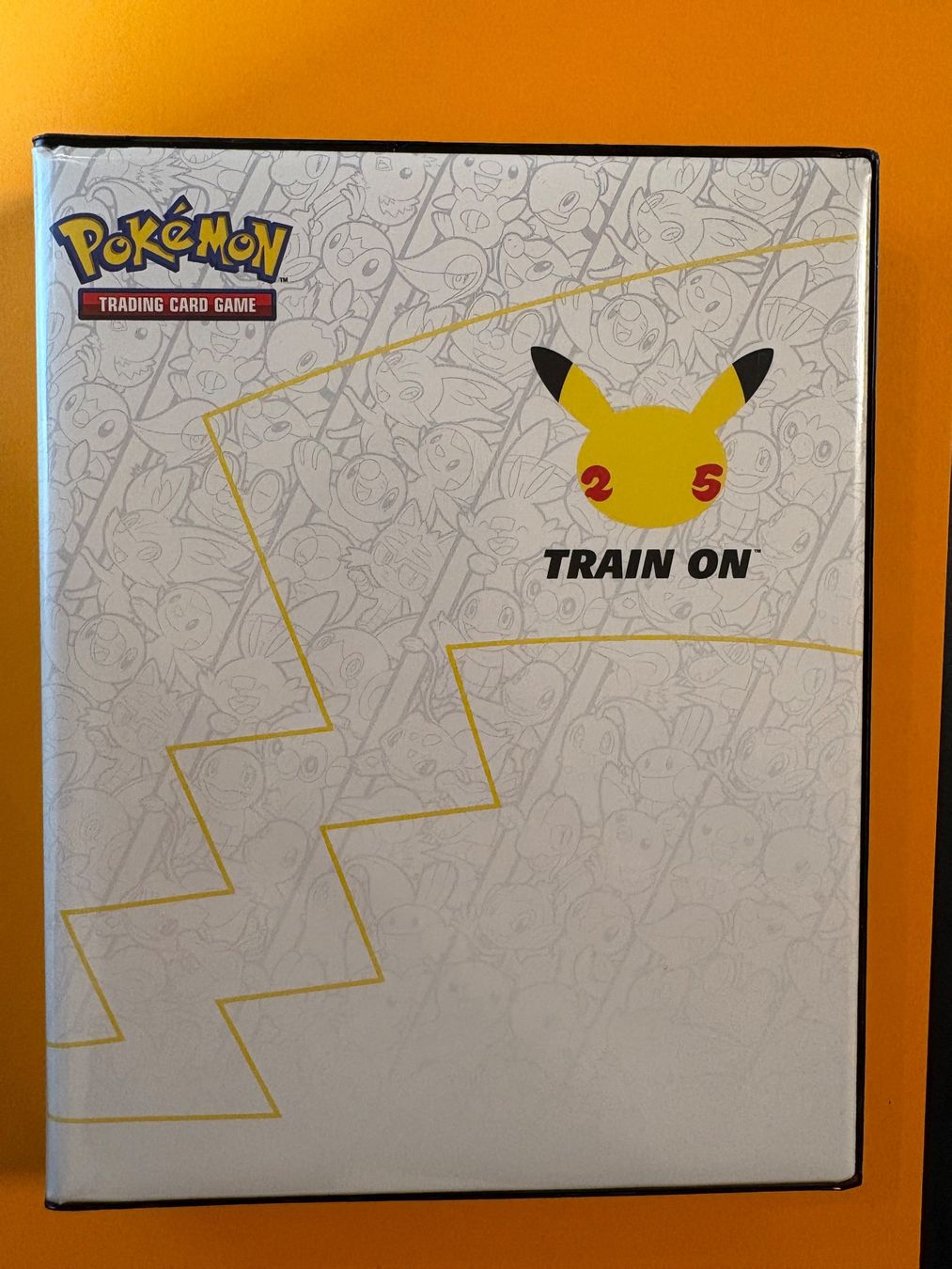 Pokémon Carte collezionabili: Binder mit XXL / Oversized Karten - Promo – Usato da Bonstetten venduto da vonap