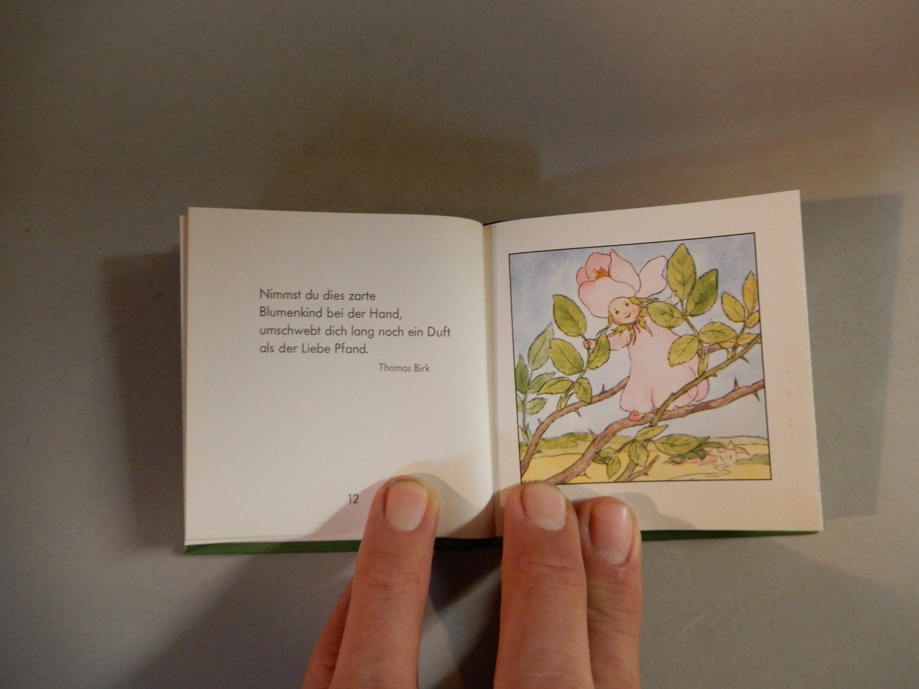 Libri: Blumenkinder - Die kleine Freude - ars edition Buch – Usato da Erstfeld venduto da Mario_boe0 7