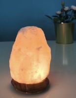 Lampe en cristal de sel de l’Himalaya – Nature & Découvertes