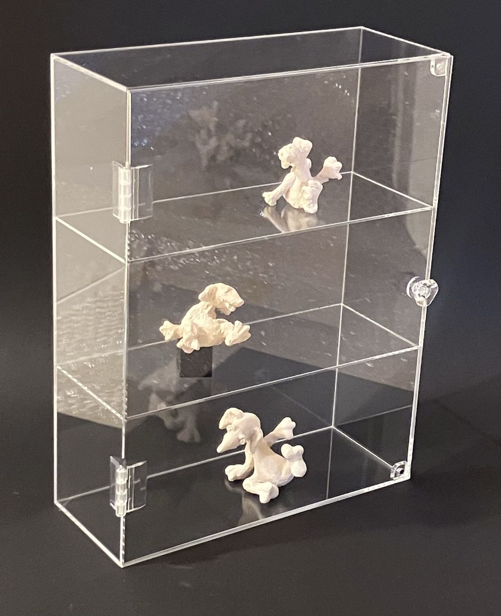 Vetrine: Neue Acrylvitrine (4cm feiner Kratzer in Front) – Nuovo e nell'imballaggio originale da Bremgarten AG venduto da merlindimi
