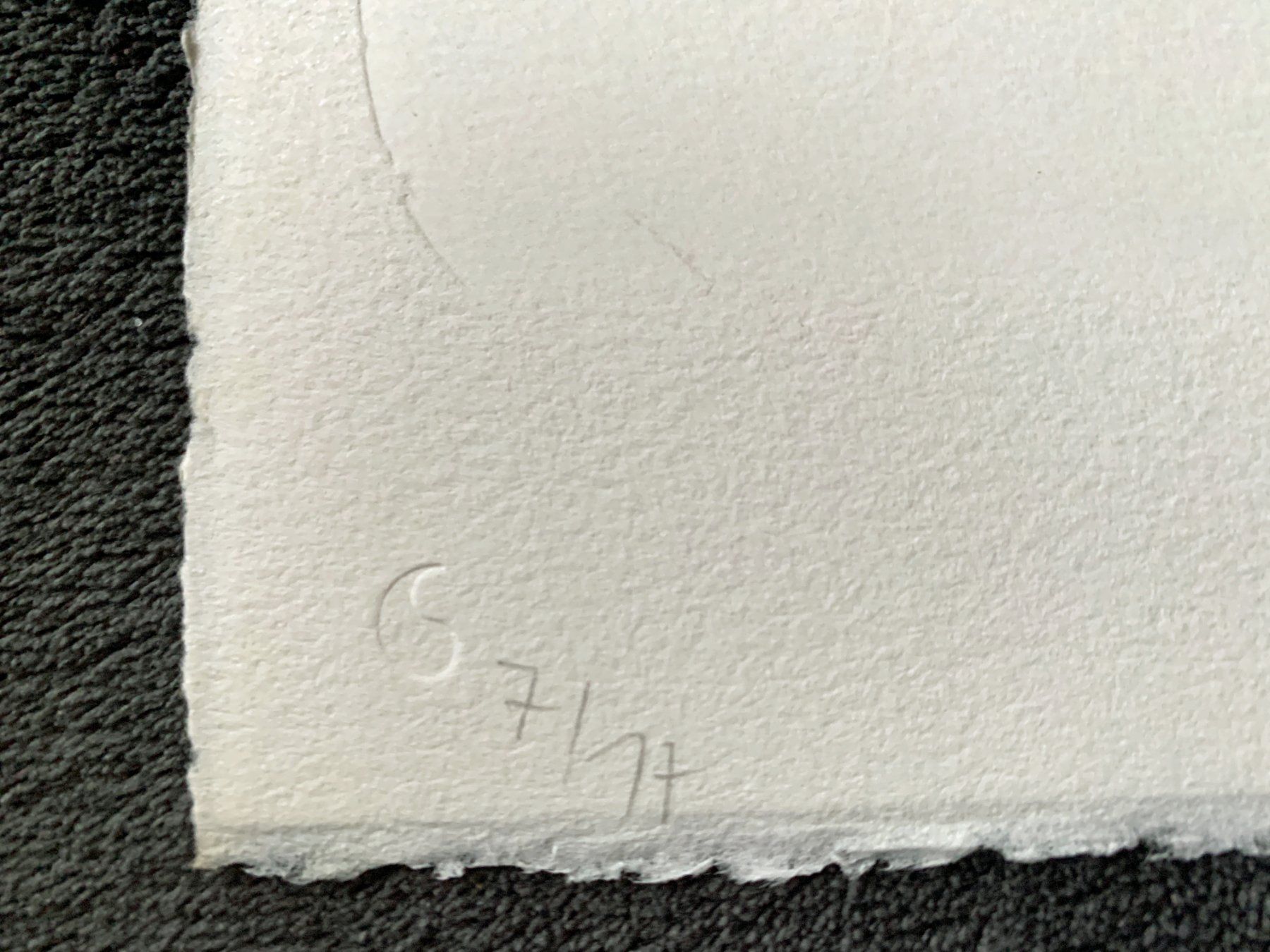 Grafica & Litografie: Schang Hutter, seltene Lithographie – Usato da Regensdorf venduto da JoergR 2