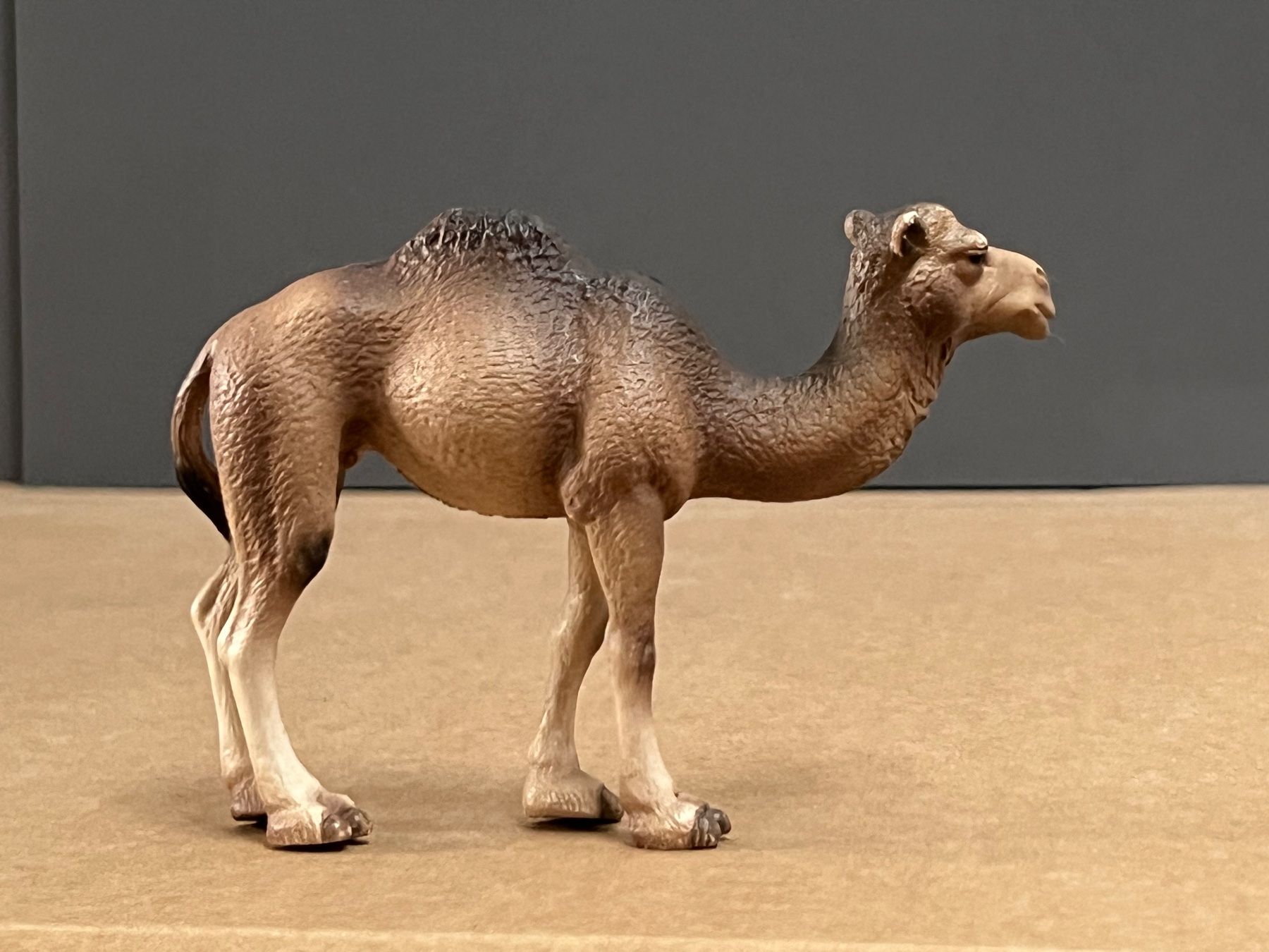 Schleich Sonstiges Spielzeug & Basteln: Schleich Dromedar Stute und Fohlen Kamel – Gebraucht aus Ennetbaden von  7