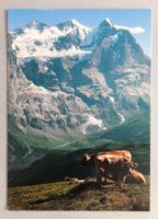Grosse Scheidegg mit Wetterhorngruppe