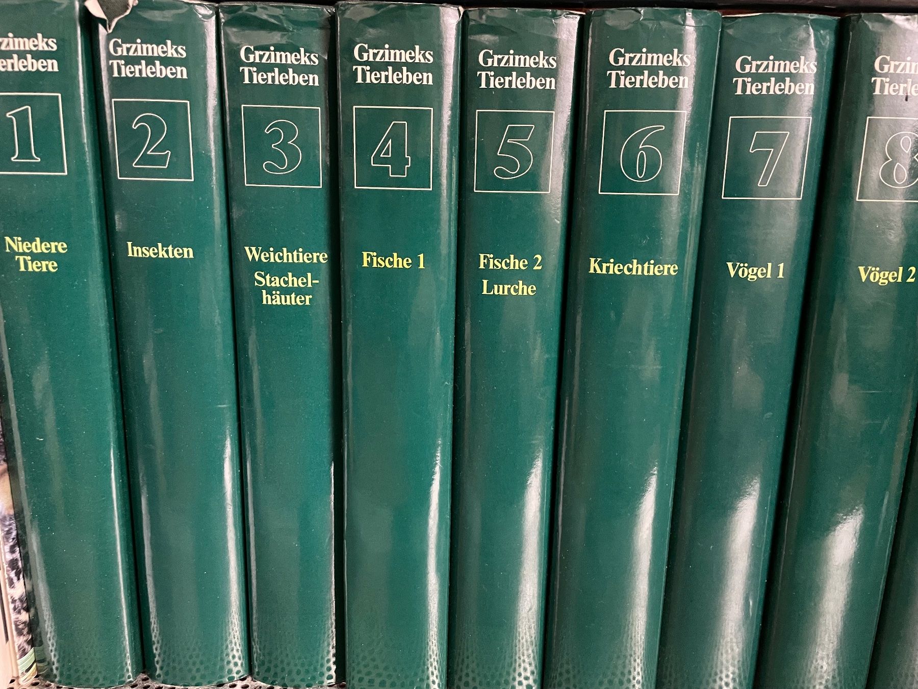 Libri: Grzimeks Tierleben - 13 Bände – Usato da zürich venduto da Sabretooth11