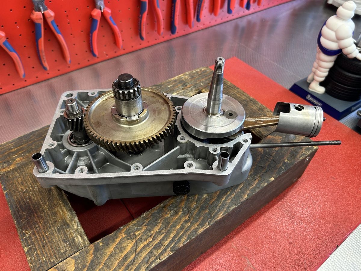 Ciclomotori: Fantic Issimo Multispeed und Teile – Usato da Muri b. Bern venduto da gt500gt500 4