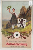 Mittelländisches Schützenfest Schwarzenburg 1908 - Litho