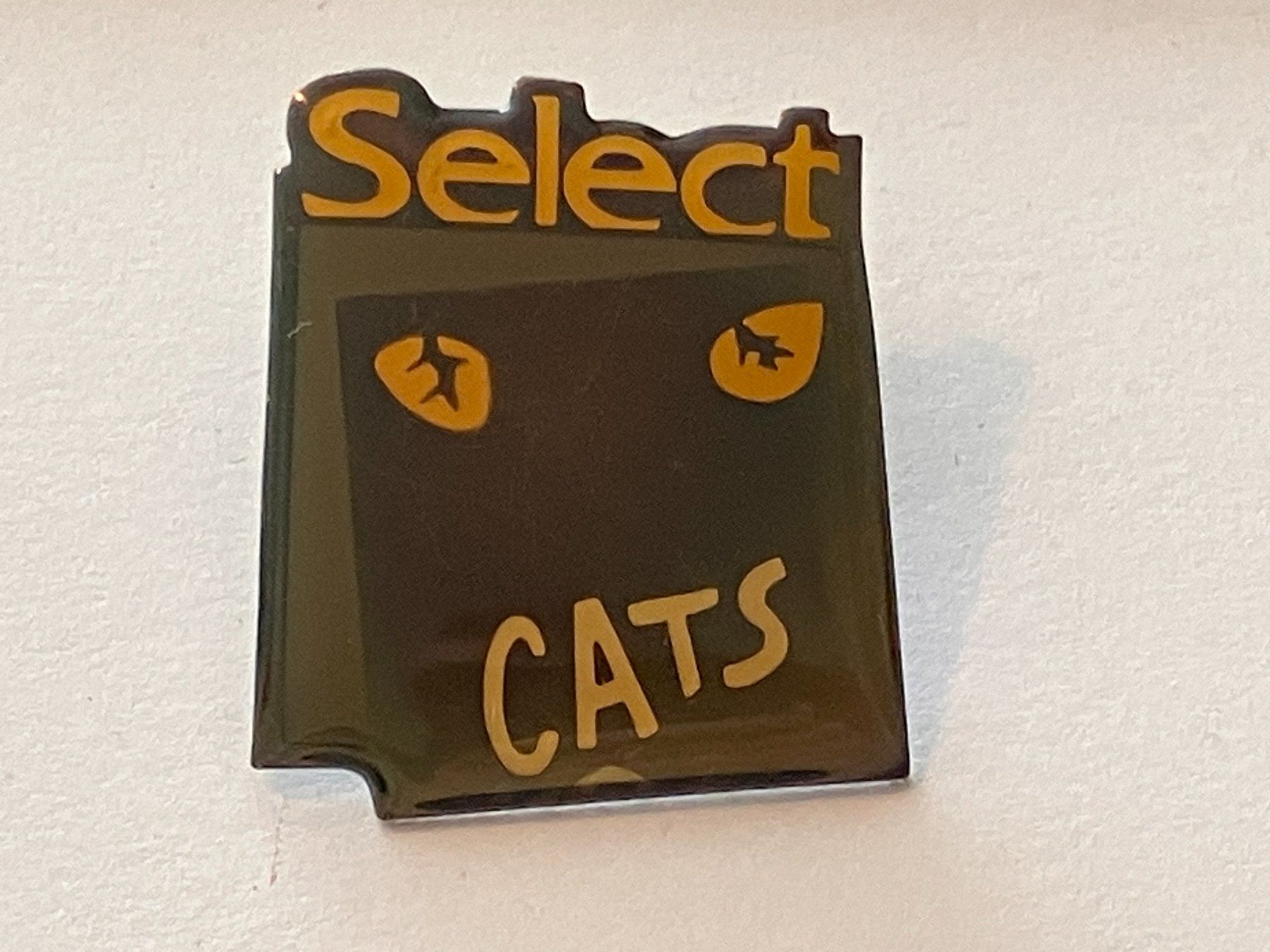 Placchette & Badge: 1 Pin Cats Musical Select – Usato da Basel venduto da djwwpp