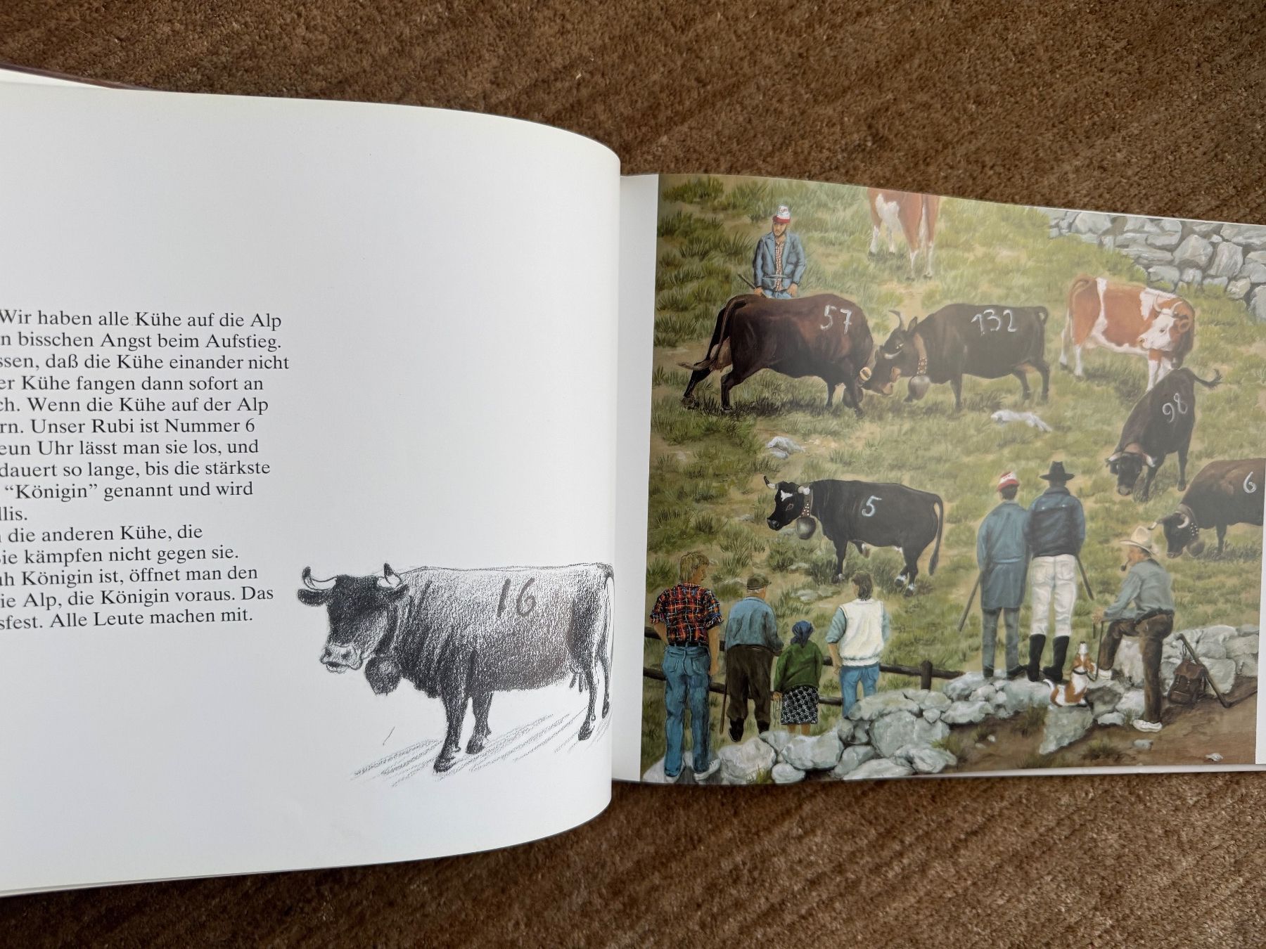 Libri: Lieber Alex -Helen Güdel – Usato da Aarau venduto da Kilauea 6
