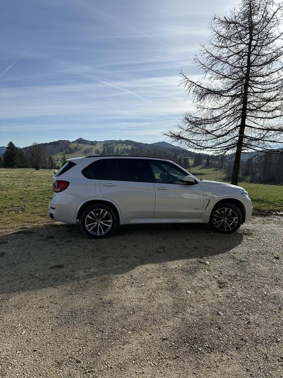 BMW X5 40e iPerformance Pure M Sport Steptronic 313 PS