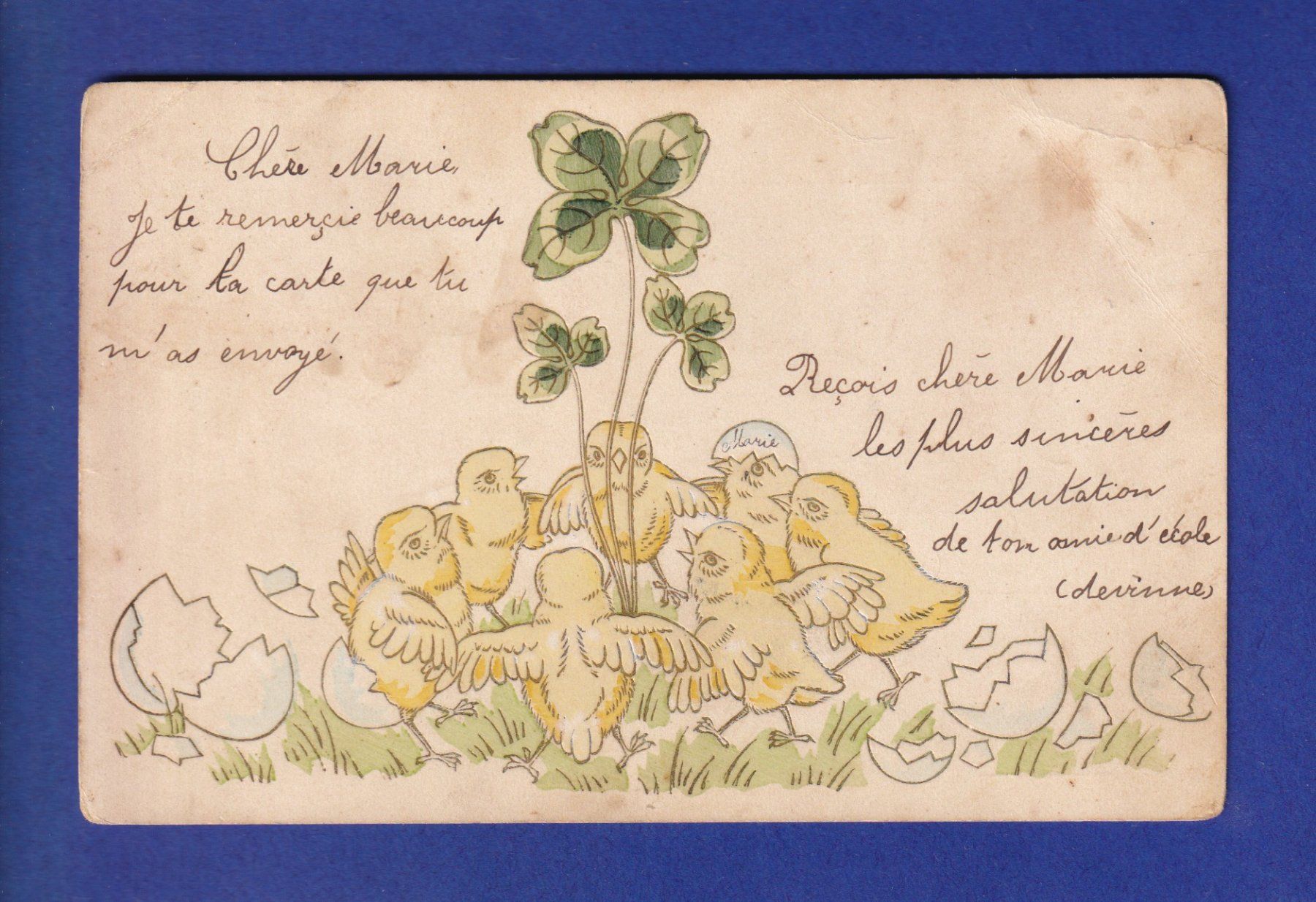 Ansichtskarten: OISEAU - Poussins // pli d'angle // – Gebraucht aus Pully von nicecards-shop