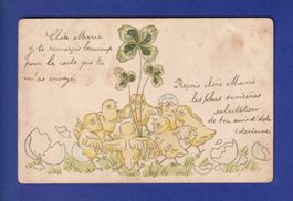 OISEAU - Poussins // pli d'angle //