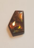Ammolit Edelstein 21ct Natur Kanada geschliffen