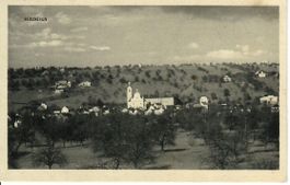 Hitzkirch 1915