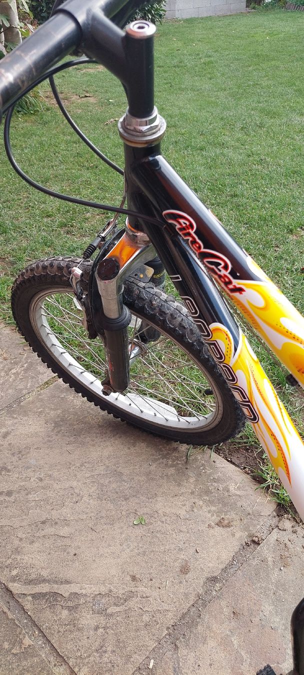 Leopard Vélos: kindervelo 18 zoll – D'occasion à Walenstadt par Nayjana 3